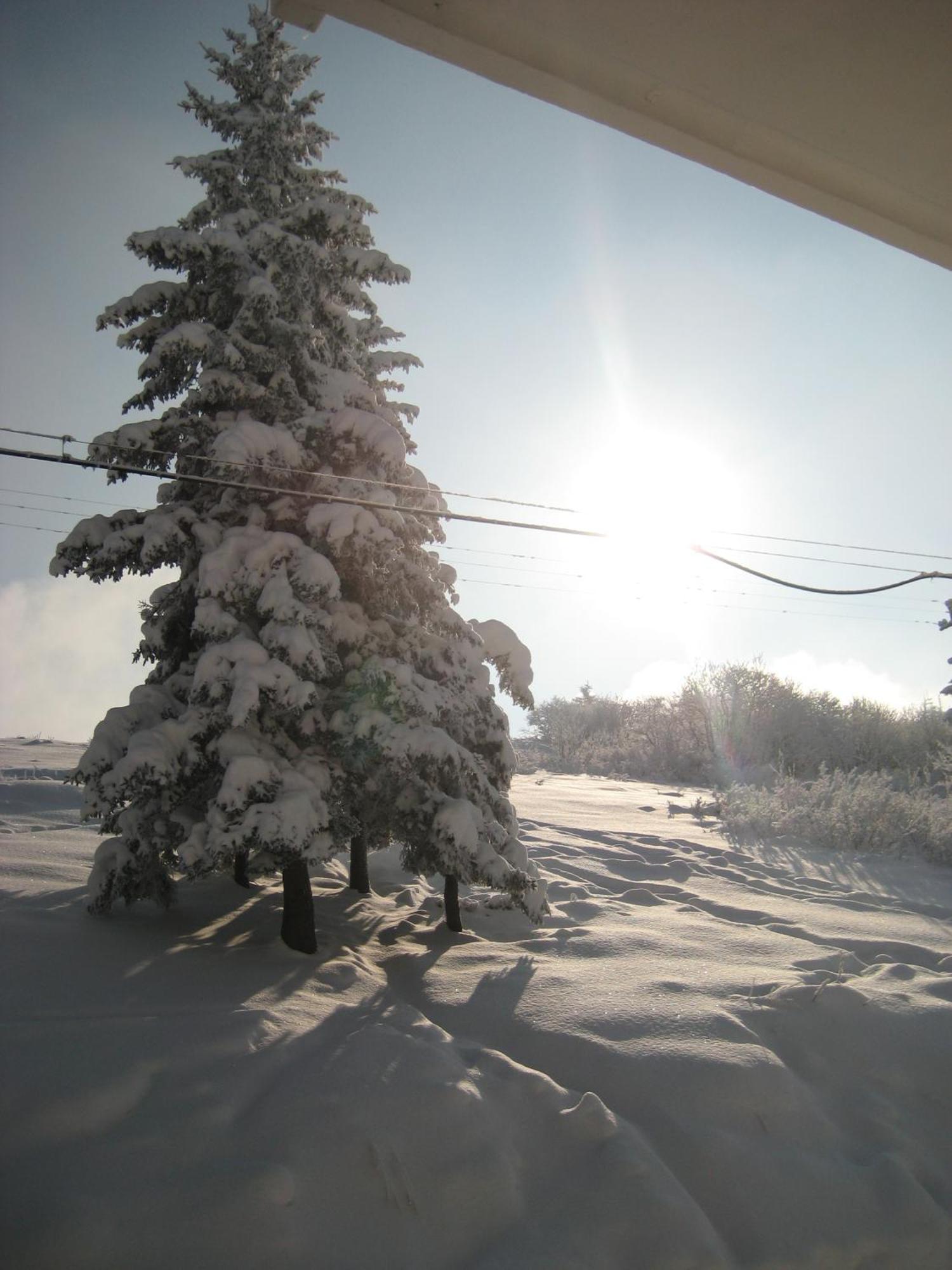 סטרסה Albergo Casa Della Neve מראה חיצוני תמונה